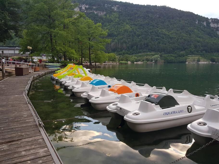 Joli Appartement En Face De Lac Нантюа Экстерьер фото
