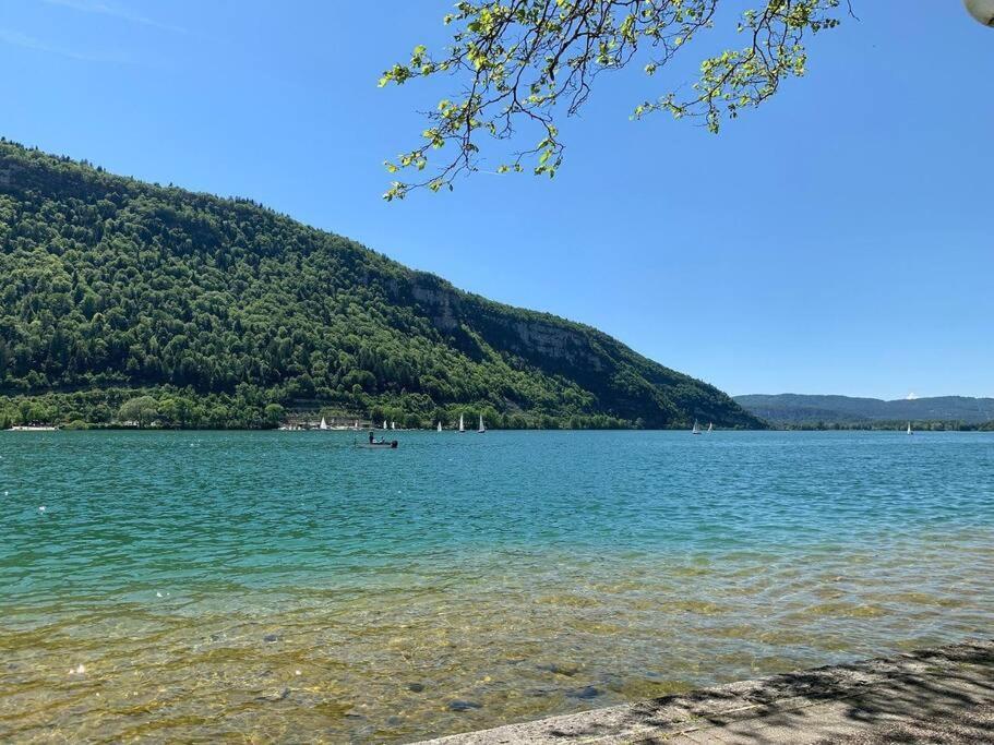 Joli Appartement En Face De Lac Нантюа Экстерьер фото